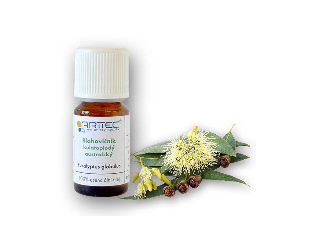 olej Eukalyptus guľatoplodý bio, 100% čistý, 10 ml - Kúpeľňové doplnky  | MasMasaryk