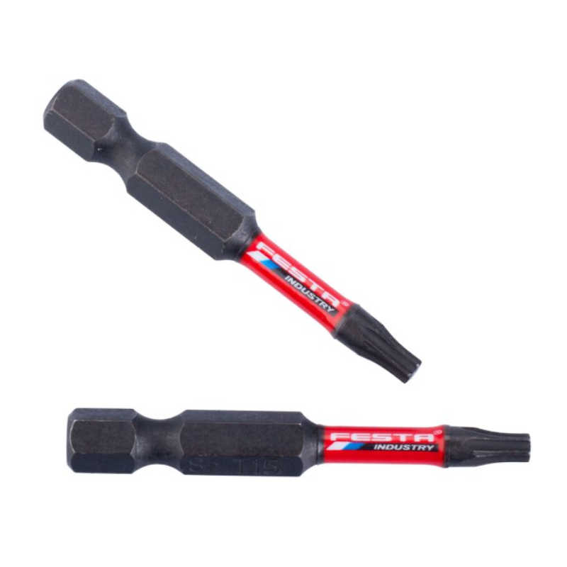 bit, hrot Torx 10x50mm 1/4 2ks/bal Festa 18720